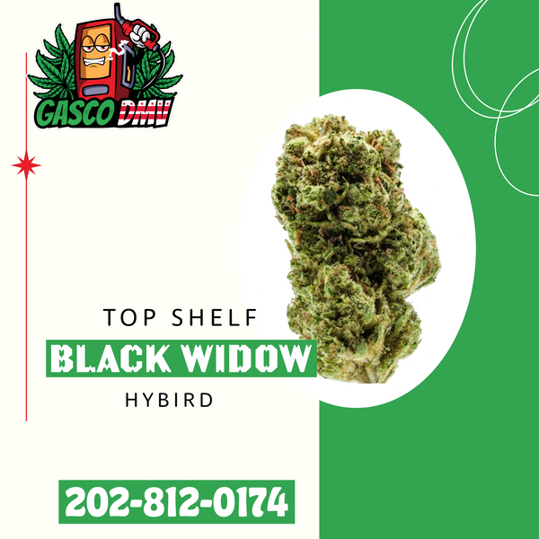 Black Widow (Top Shelf)