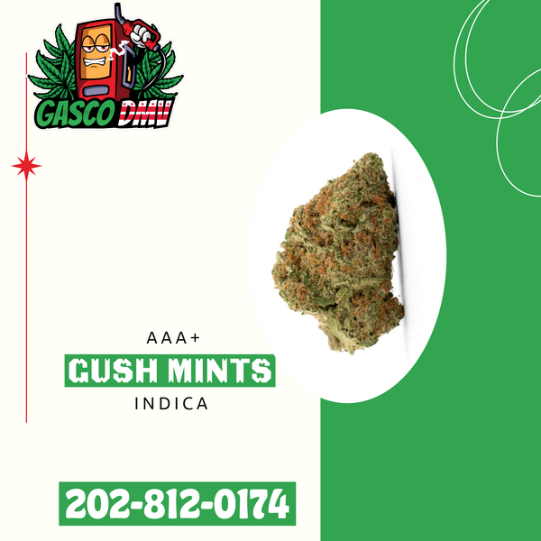 Gush Mints (A++)