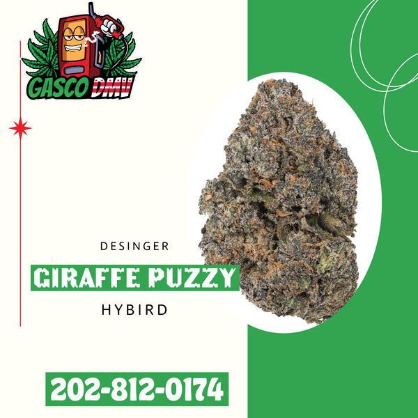 Giraffe Puzzy (Hybrid Designer)