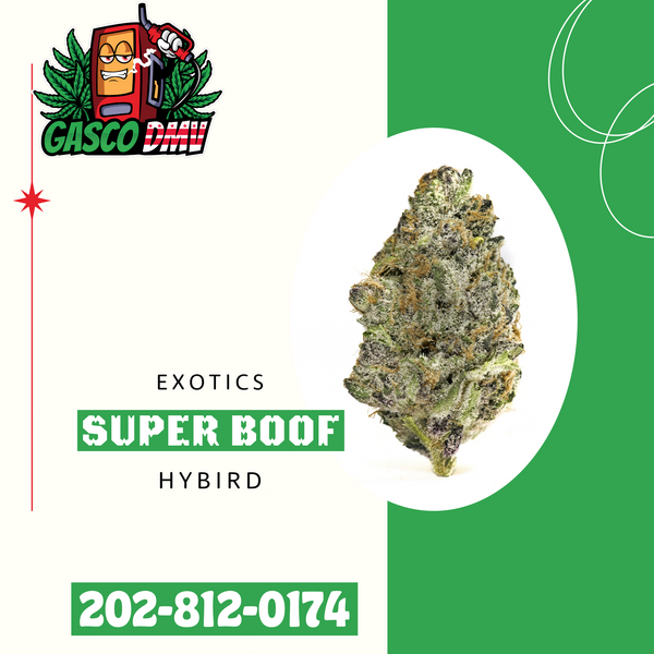 Super Boof (Indoor Exotic)